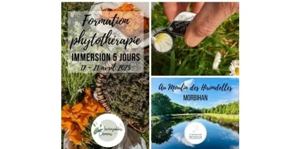 Moulin des Hirondelles / Incroyables Chemins