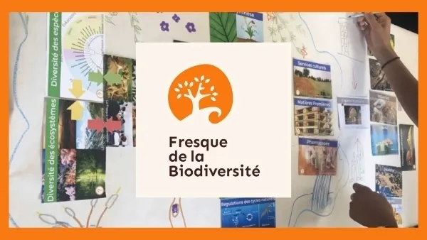 Fresque de la Biodiversité